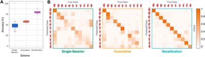 Deep learning and session-specific rapid recalibration for dynamic hand gesture recognition from EMG